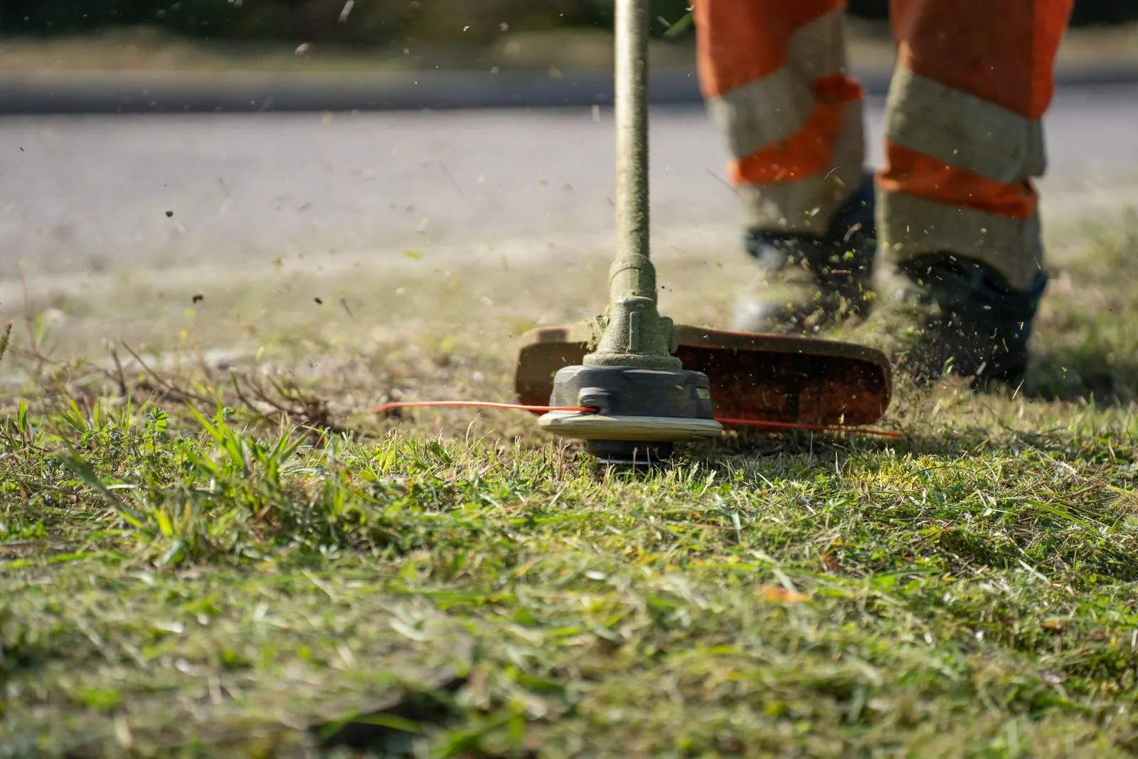 Hausmeisterservice – Grünpflege im Raum Belum