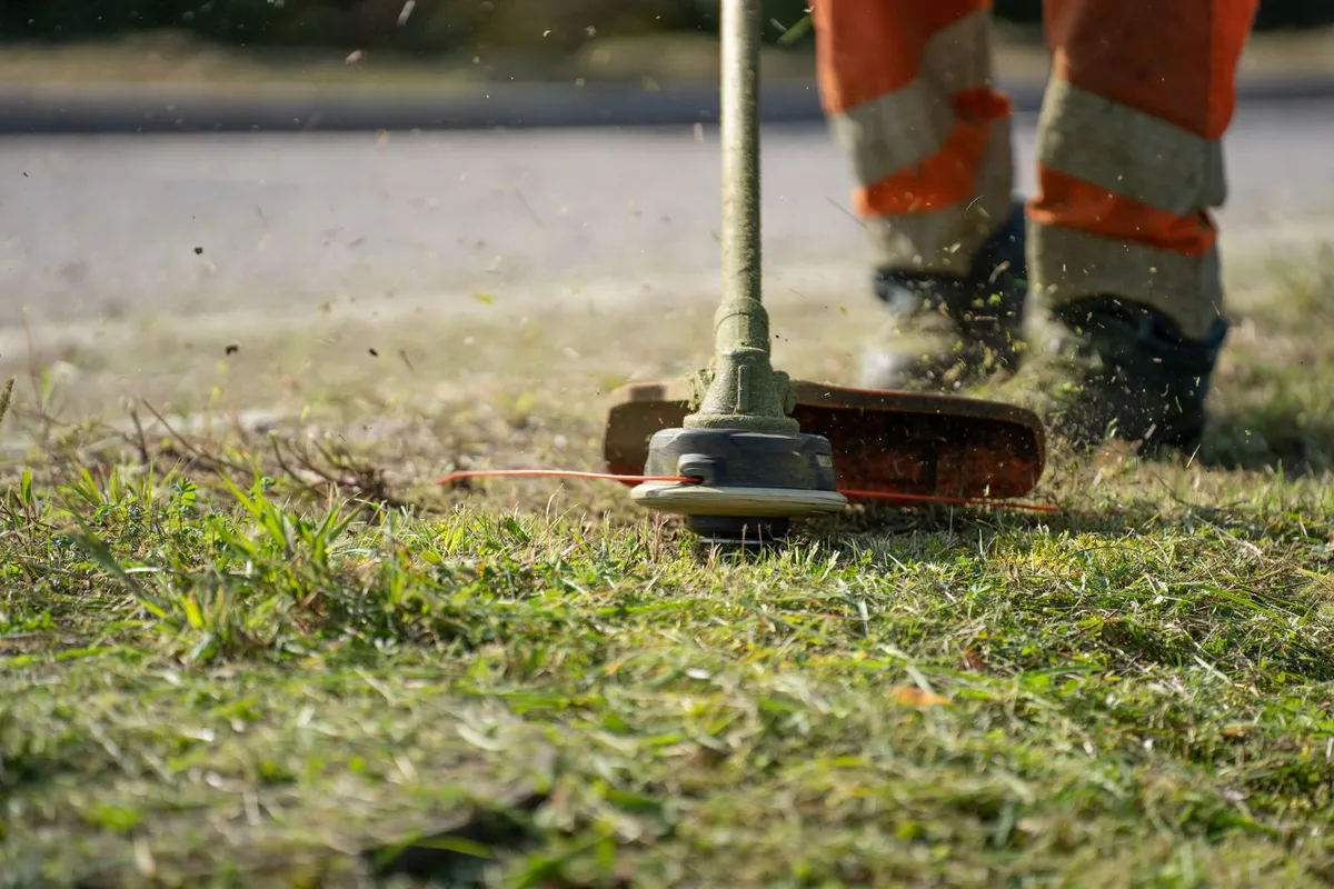 Hausmeisterservice – Grünpflege im Raum Belum